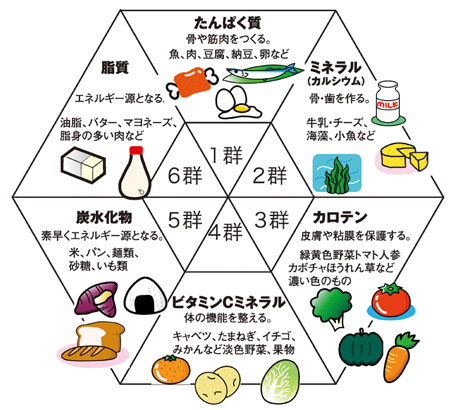 6つの基礎食品群